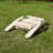 Eswer Foldable Outdoor Adirondack Chair
