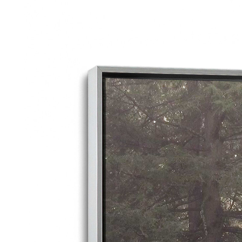 «Enlighten Your Soul» par Lori Deiter, reproduction d'art, 8 W x 12 H, Silver, Framed Canvas