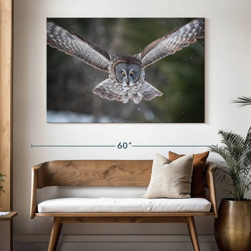 Brampt Flying Winter Owl, 34" H x 51" W