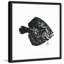 Andrew Clay - Single Picture Frame Print-20604340