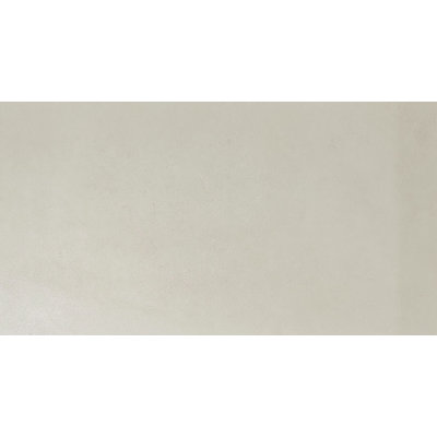 Carreau de porcelaine mat 12X24