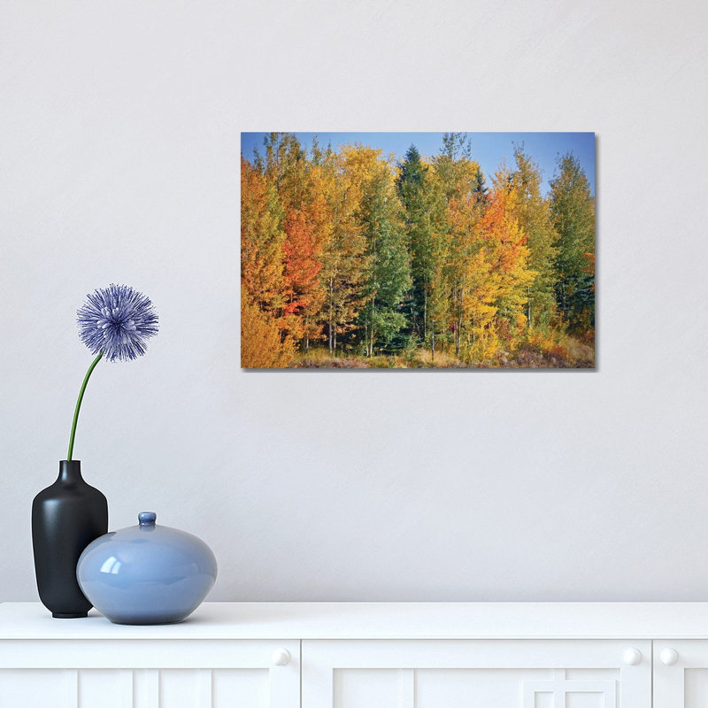 Autumn Layers Of Trees II by Susan Vizvary - Wrapped Canvas Print, 30.48 cm H x 45.72 cm W