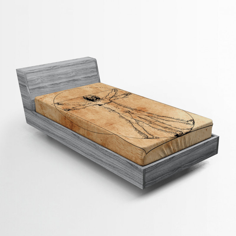 Drap-housse en anatomie humaine, Drap-housse simple TG