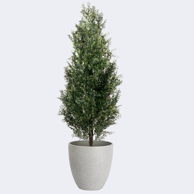 Artificial Cypress Trees & Resin Round Plant Pots with Tray