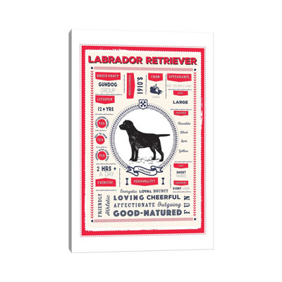 " Labrador Retriever Infographic Red " Print