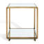 Florabella Glass End Table