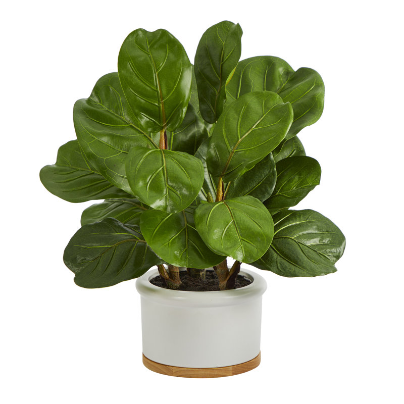 Figuier à feuilles artificielle en pot, H 15 po x l 12 po x P 12 po