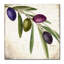 "Jadaya Olive Branch IV" par Color Bakery, reproduction d'art sur toile tendue-20567774
