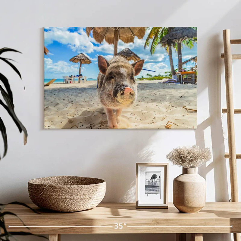 Crowle cochon sale sur la plage, H 16 po x l 24 po