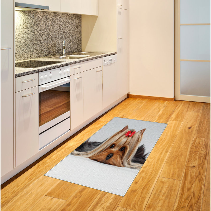Yorkie High Density Long Fiber Poly Threads Decorative Area Rug Carpet, Rectangle 2'7" x 5'