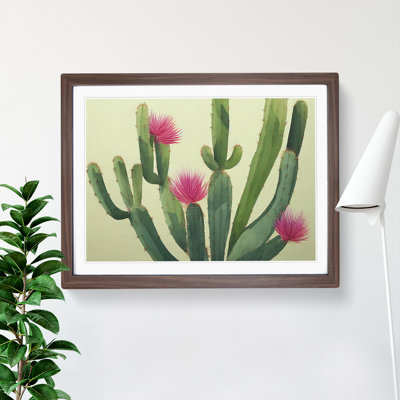 Stimulating Cactus - Framed Print