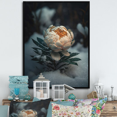 " A Blooming White Peony Flower In Winter IV "