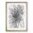 Oak Framed selected