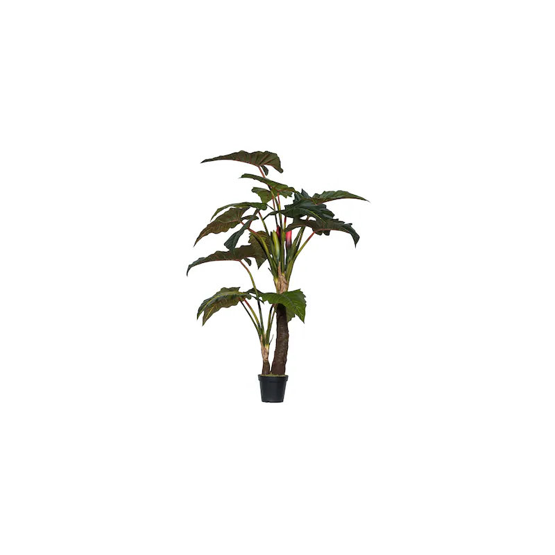 78 po Faux Elephant Ear Plant