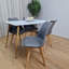 Zane 4 Person Modern Dining Table Set-183321891-183321892