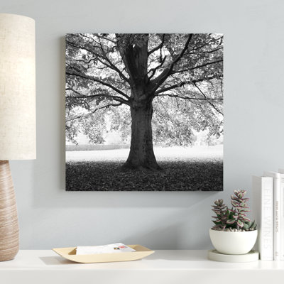 Woodland Tones III par Martin Henson - Photographie sur toile tendue
