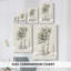 Toile tendue avec galerie Botanical Society Ferns-747996744