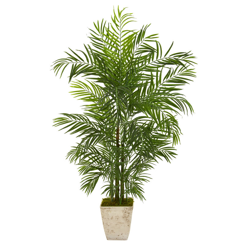 Areca Palm Tree in Planter UV Resistant