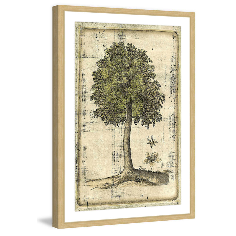 "Fruitful Realm II" Framed Print, 30" H x 20" W x 1.5" D