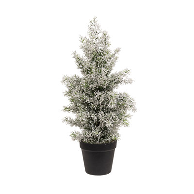 19' Christmas Tree