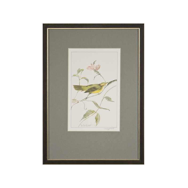 Warbler Print by Daughdrill