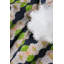 Flowering Dogwoods Lumbar Pillow Cover & Insert-1547134247