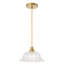 Luminaire suspendu en verre à 1 lumière à intensité variable pour salle à manger Dansby 