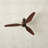 60'' Ceiling Fan with LED Lights-1965902599