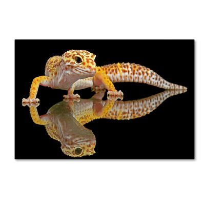 Art mural sur toile tendue - Dikky Oesin «Leopard Gecko» pour décoration de salon, de chambre à coucher ou de bureau - 22 x 32