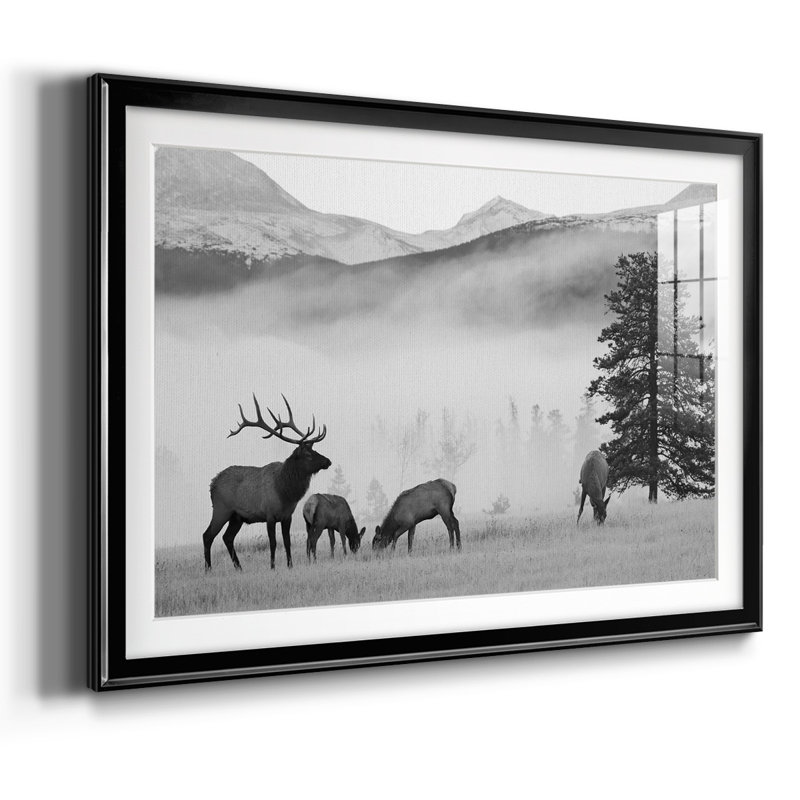Mountain Elk, reproduction d'art encadrée sur papier, Noir, H 30 po x l 44 po x P 1,5 po