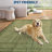 Washable Geometric Area Rug - Modern Patchwork, Non-Slip Low Pile, Soft Minimalist, Non-Shedding Collapsible Carpet-641578321
