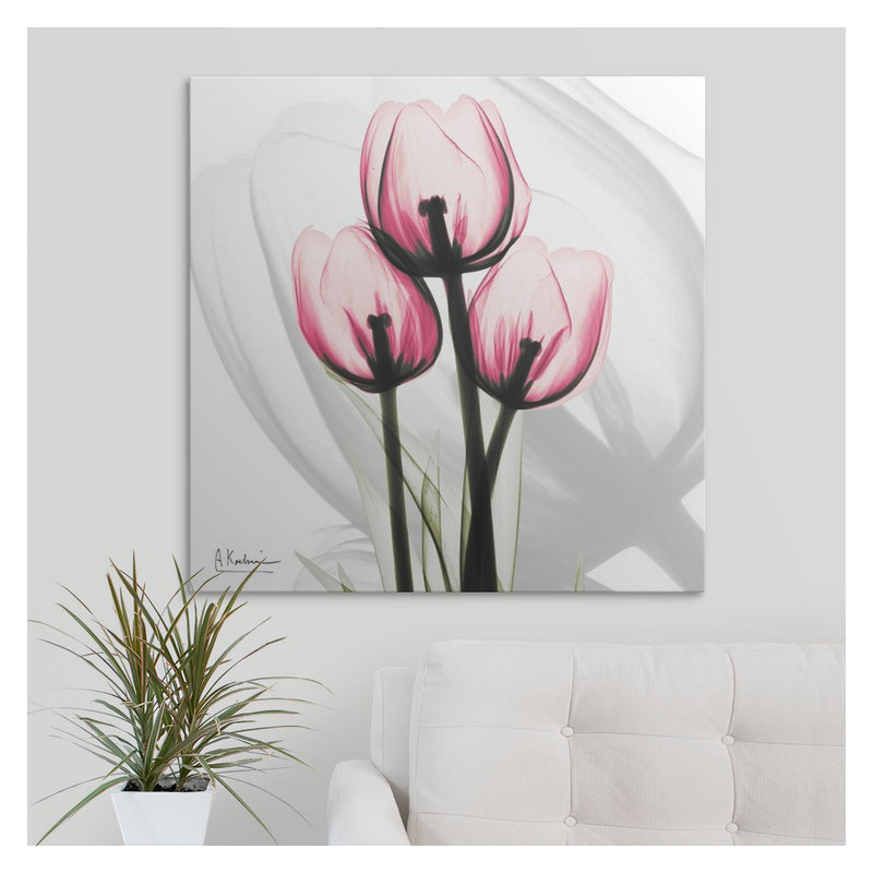 « tulipe x-ray » par albert koetsier,, reproduction de photo, H 24 po x l 24 po x P 1,5 po, Toile