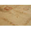 Tapis de bois one-of-kind-noué la 2010 ushak cuivre/gris/gris/clair 8 pi x 9 pi en laine de 10 po Andra