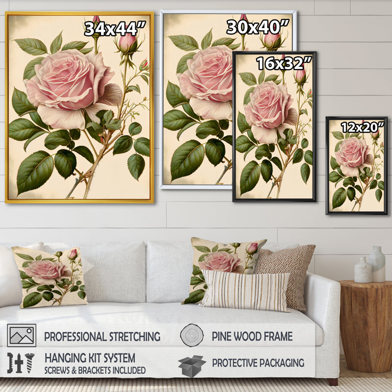 «Pink Rose on Retro Parchment IV», reproduction sur toile, H 32 po x l 16 po x P 1 po, Cadre flottant doré
