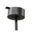 Tall Pines Downrod Ceiling Fan