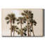 «Blush Palms», toile tendue avec châssis-868797330