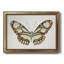 Papillon I - reproduction d'art sur toile