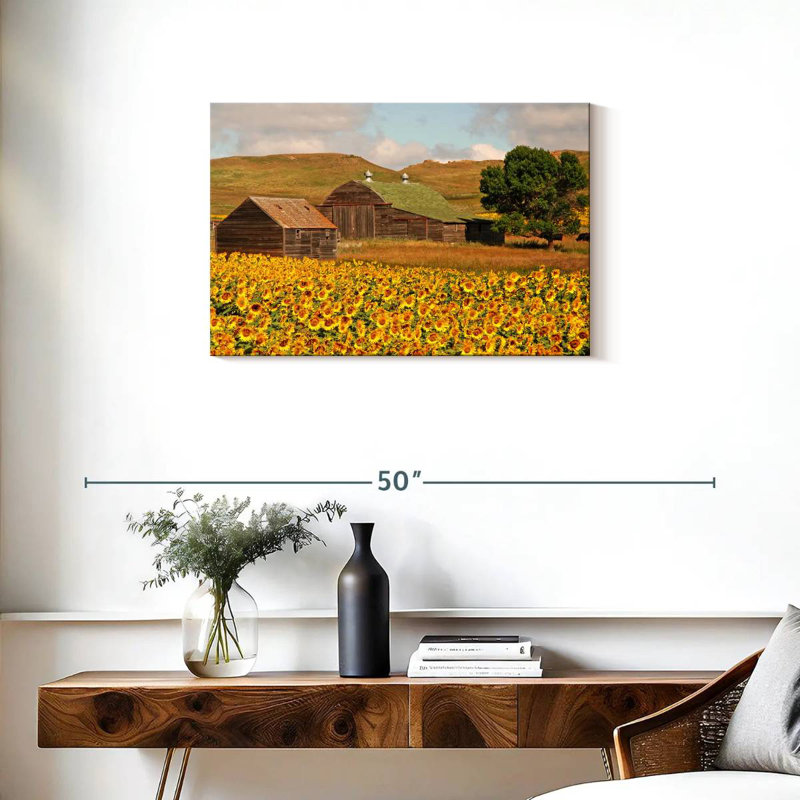 Champ de tournesols Alvord, H 20 po x l 30 po
