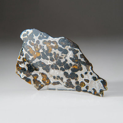Brenhama Pallasite Crystal