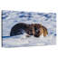 Winter Wombats-1883217663