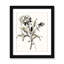 Botanical Seed I by - impression-87850865-87850866