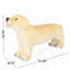 Banc de zone de confort pour chien brun - sans assemblage, Enchant rehausse l'attrait du patio