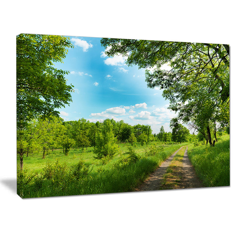 «Green Forest Road and Blue Sky», reproduction de photo sur toile tendue, H 30 po x l 40 po x P 1 po