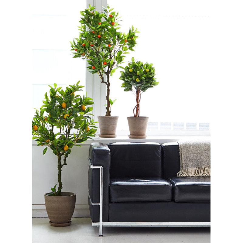 28'' Faux Lemon Topiary in Pot