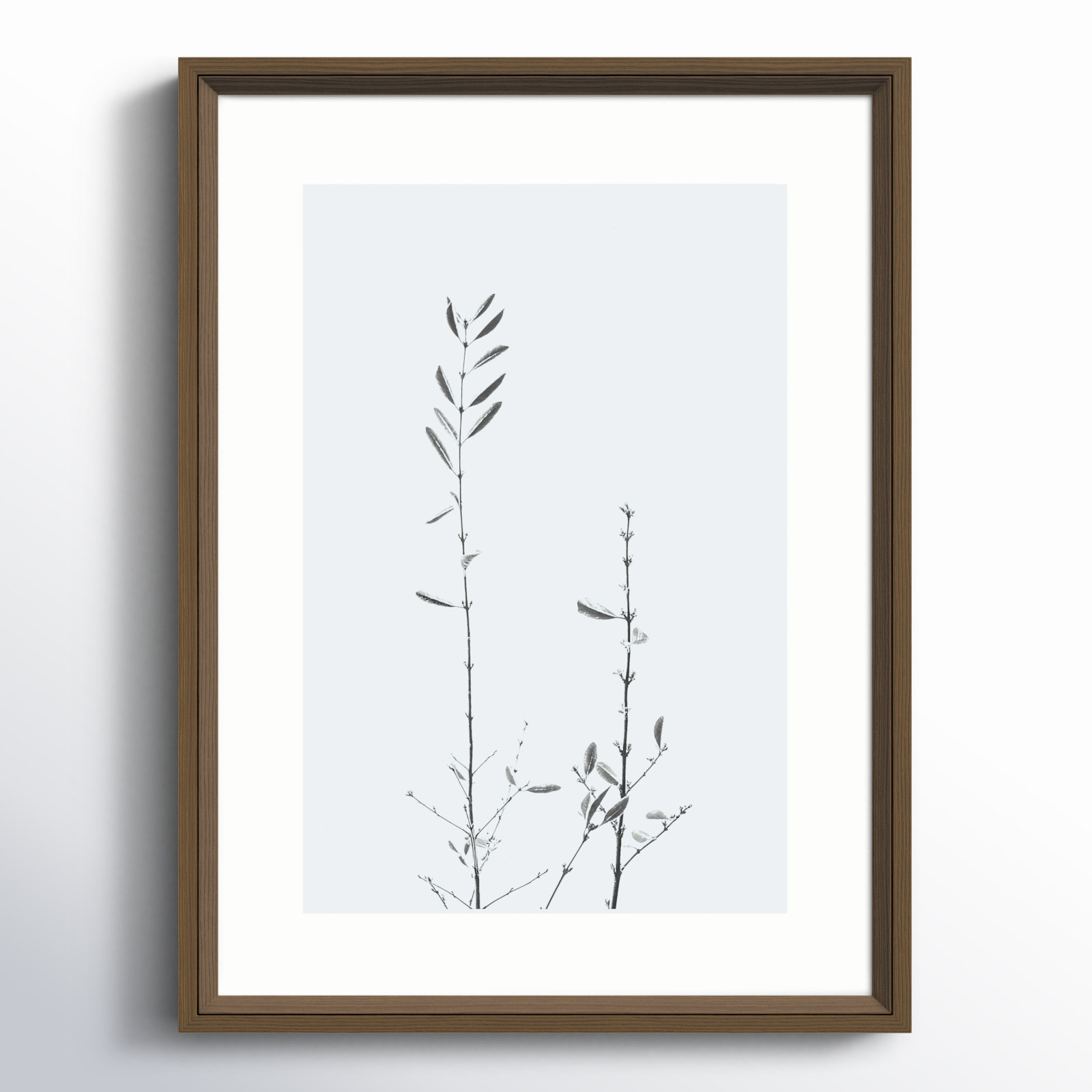 Retro Tennessee Botanical No 2 Photo Print, Brown, 22" H x 16" W