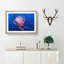 Jellyfish in Pink & Blue in Abstract - Picture Frame Graphic Art Print-55767502-55767508