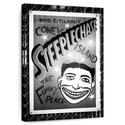 Tergel Coney Island Funny Place
