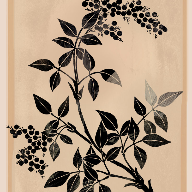 «Minimal Plant 5 Print» par Nadja, Non, Toile encadrée noyer flottant, H 20 po x l 20 po
