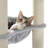 Derosa 65.4'' H Cat Tree