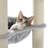 Derosa 65.4 " H Cat Scratching Post